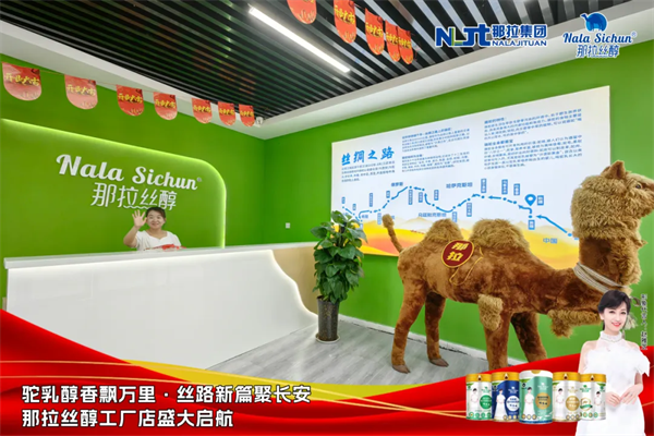 图片13.png