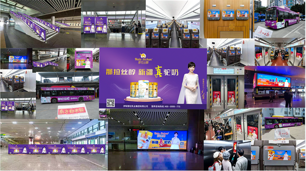 图片11.png