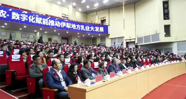 图片29.png
