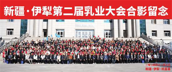 图片27.png