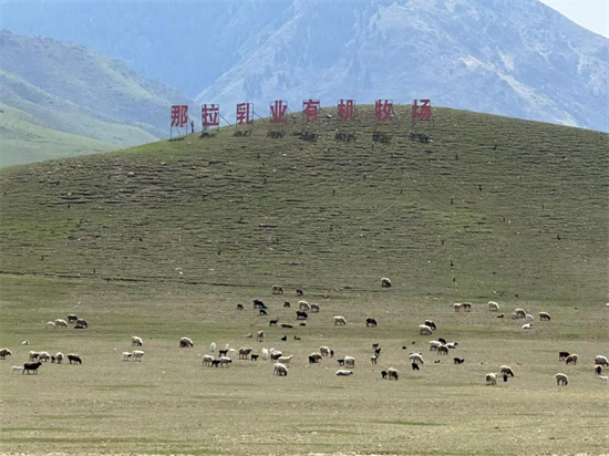 图片38.png