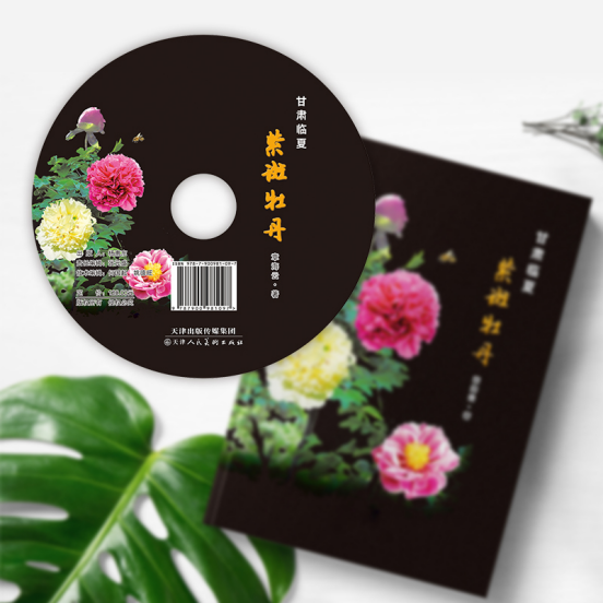 1763094842693195.png image.png