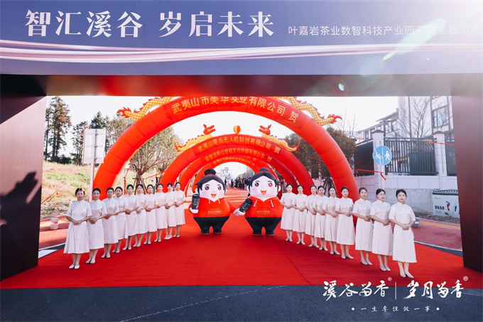 茶王争霸演绎岩骨花香,数智产业园开启茶业新篇