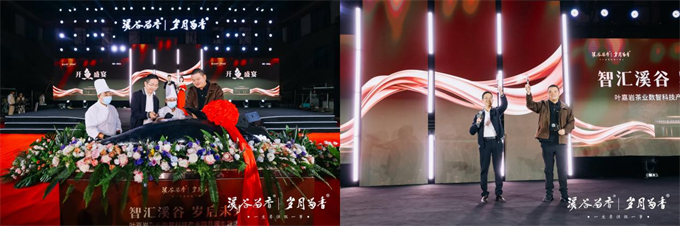 1763371888236734.png 图片11.png