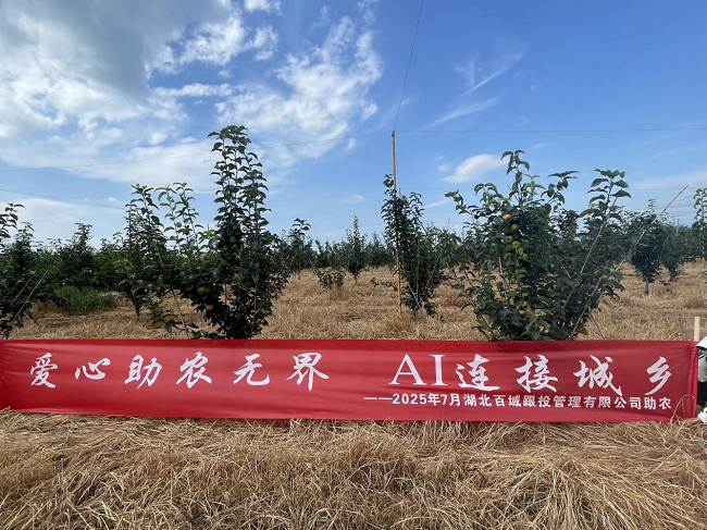 金秋梨香里的科技力量：百域助农记