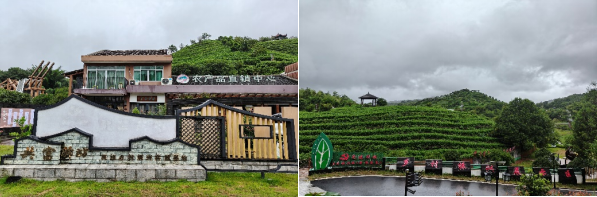科技赋能乡村养老，实践探寻民生新径——浙江万里学院“数岭夕照”实践队赴温州开展智慧养老调研行动