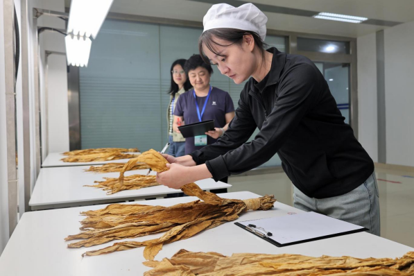 2024年烟草物理检验员职业技能等级（二级）试认定工作圆满完成
