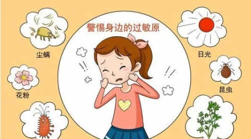 抗过敏益生菌哪个牌子好、抗过敏益生菌品牌推荐、华之菌抗过敏益生菌