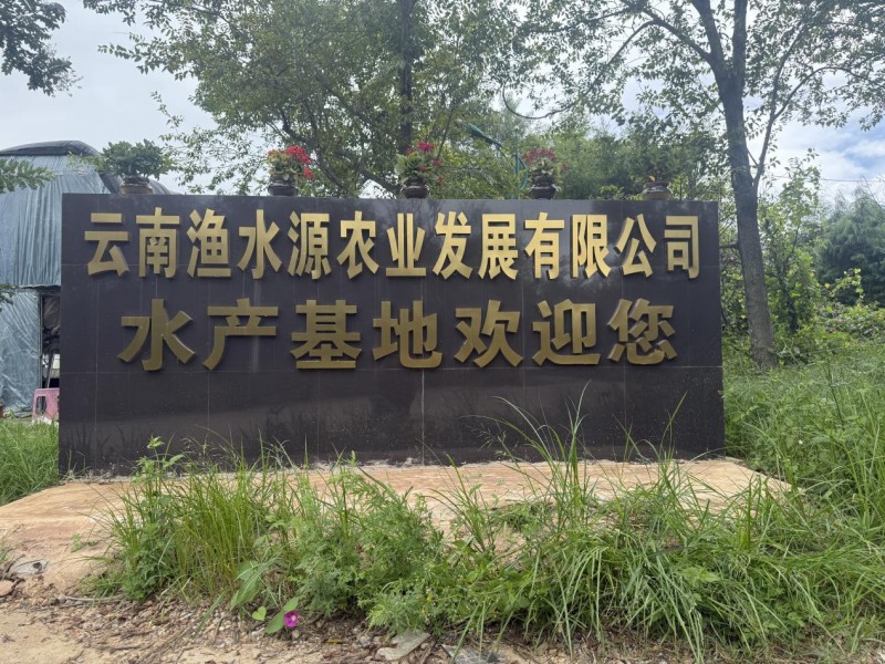 “小魚塘”到“大基地”，云南漁水源的九年成長記