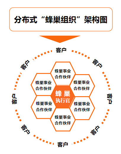 当企业患上“大公司病”，蜂巢组织模式是一剂猛药