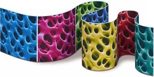 北京煦和昕诚携手日本尼普洛,共筑血液透析领域专业服务新标杆