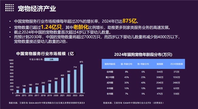 小宠牵牵:以AI重塑宠物服务生态,定义千亿赛道新标准