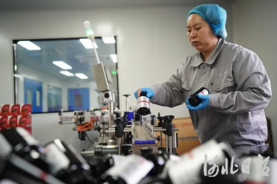 乐亭：创新赋能产业延伸 百德福海参肽凝胶糖果投产上市