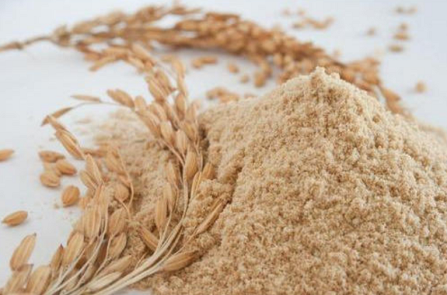 香港原装大和米蕈:单一成分,筑牢免疫调理期的守护核心