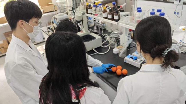 科创赋能乡村发展，百炼橙胶团队以“橙”心筑梦共富路