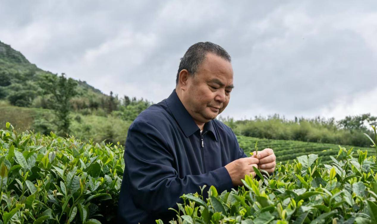 一片东方树叶,架起文明互鉴之桥——致敬罗大友先生的茶文化传奇