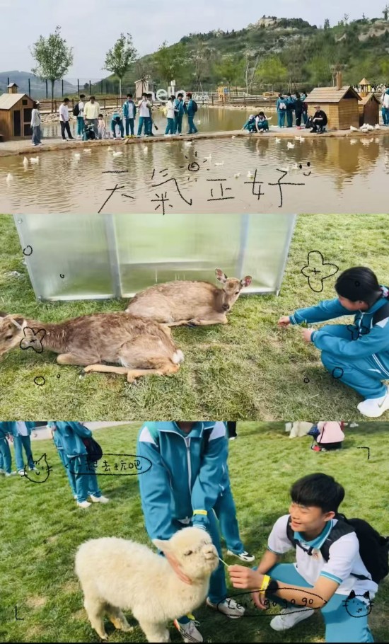 图片11.jpg
