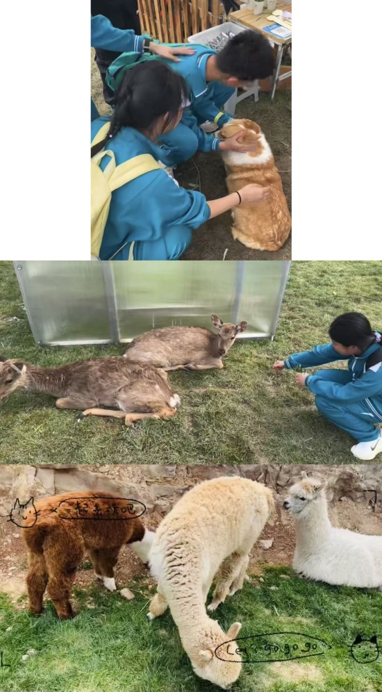 图片12.jpg