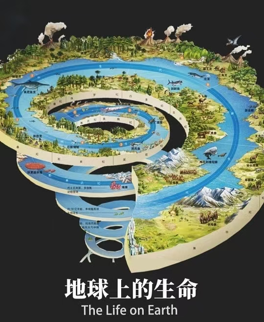 一枚分子化石,印证动植物亿年同源
