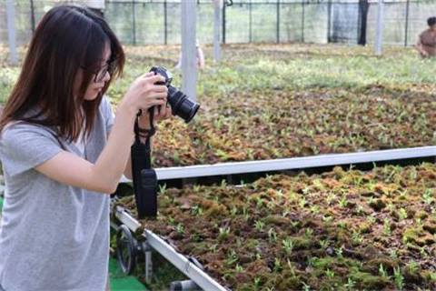 走进塔后：探寻浙东中草药电商融合文旅发展路径——浙江万里学院“灵斛青禾”暑期实践队