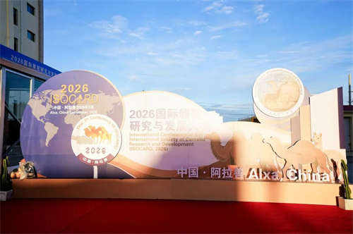 1789105909457953.png 图片2.png